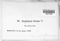 Image Associated With the Occurence